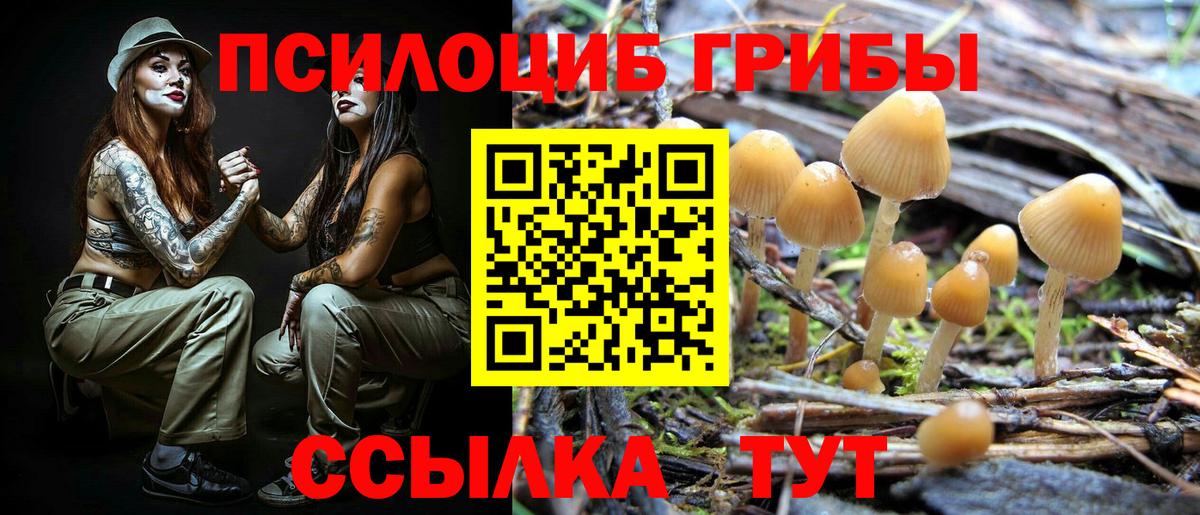 Псилоцибиновые грибы Magic Shrooms  Вход с VPN  Топки 